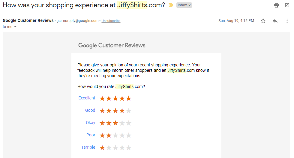 Google Customer Review Email Example